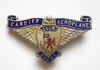 Cardiff Aeroplane Club, Early Aviation Flying Club Badge.