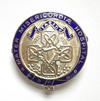 Mater Misericordiae Hospital Dublin Ireland 1994 silver nurses badge