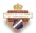 Queen Elizabeth II 1953 Coronation Sons of Temperance badge