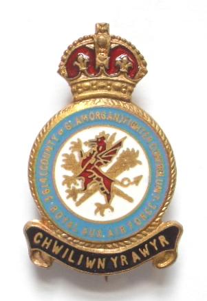 RAF No 3614 Fighter Control Unit Royal Auxiliary Air Force Badge