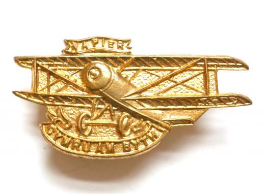 WW1 Napier Biplane Wales For Ever aircraft fundraising badge