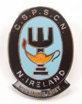 Central school of psychiatric & special care nursing badge N.Ireland