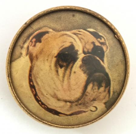 WW1 British Bulldog Australian fundraising badge