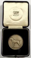 Bull Terrier Club championionship show Ayr Scotland 1928 winner medal