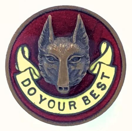 Boy Scouts Assistant Cubmaster Do Your Best lapel badge
