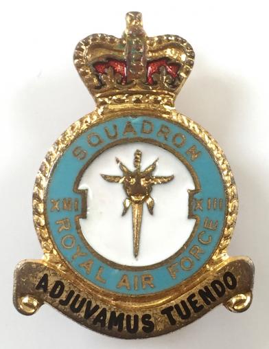 RAF No 13 Squadron Royal Air Force badge circa 1950s.