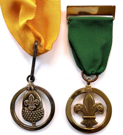 Boy Scouts Silver Acorn and Medal of Merit award