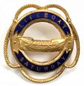 Royal National Lifeboat Institution RNLI Charity Lifeboat Saturday badge.