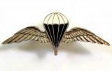 Parachute Regiment silver and enamel winged badge