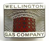 Wellington Gas Company gasworks cap badge Telford Shropshire