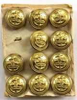 Merchant Navy officer's uniform gilt buttons set of eleven