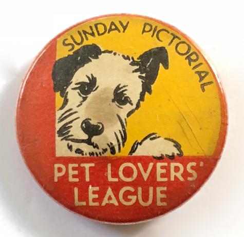 Sunday Pictorial Pet Lovers League children's club Terrier dog badge