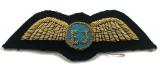 Eurojet Aviation pilot's wing gold bullion uniform badge