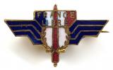 WW2 Free French Forces FRANCE LIBRE  supporters pin badge