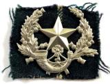 WW2 Cameronians Scottish Rifles Glengarry cap badge with tartan backing