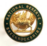 WW1 National Reserve Brecknockshire Welsh home front badge