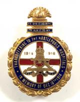 WW1 Hartlepools Hospitals Bombardment Durham RGA tribute badge