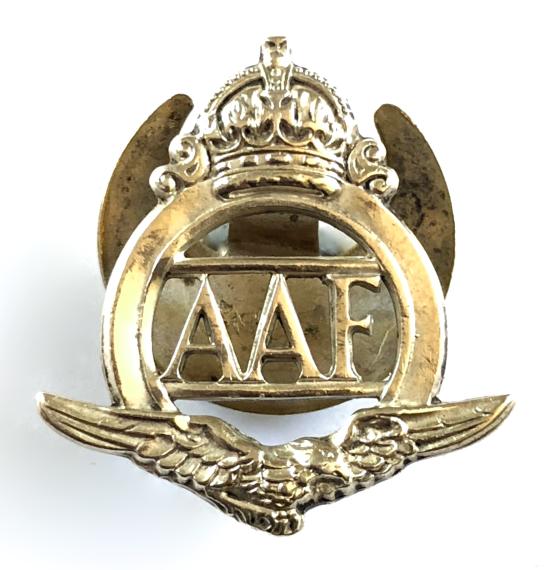 Auxiliary Air Force AAF officially numbered 248 lapel badge