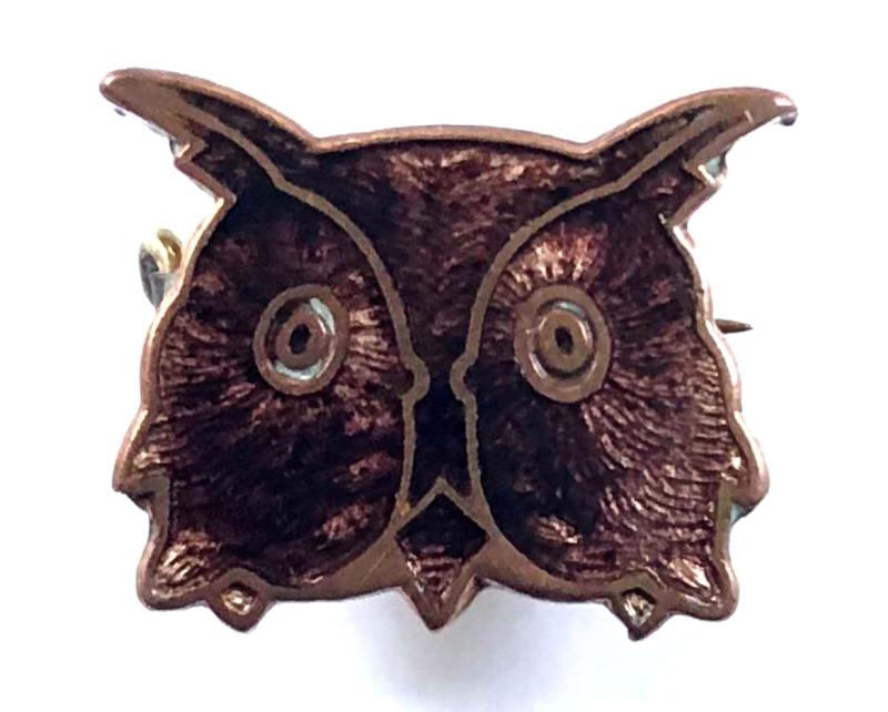 Girl Guides Brown Owl leader badge
