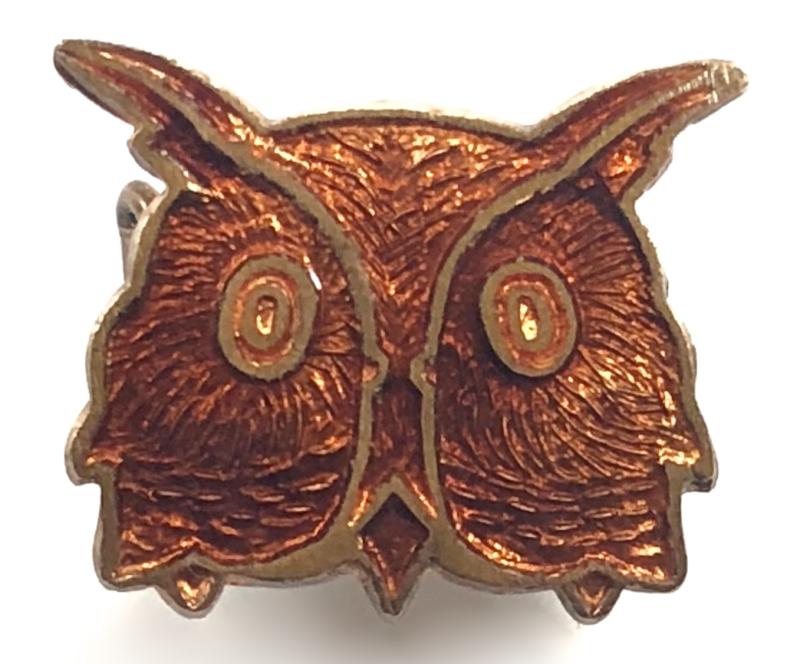 Girl Guides Brown Owl leader pin badge