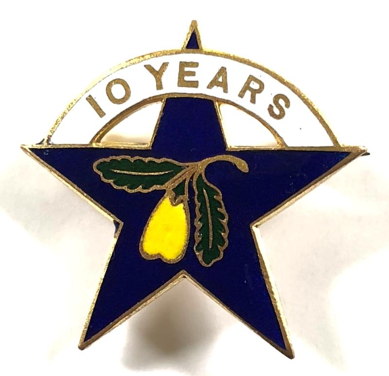 Primrose League Junior Bud 10 years service star badge