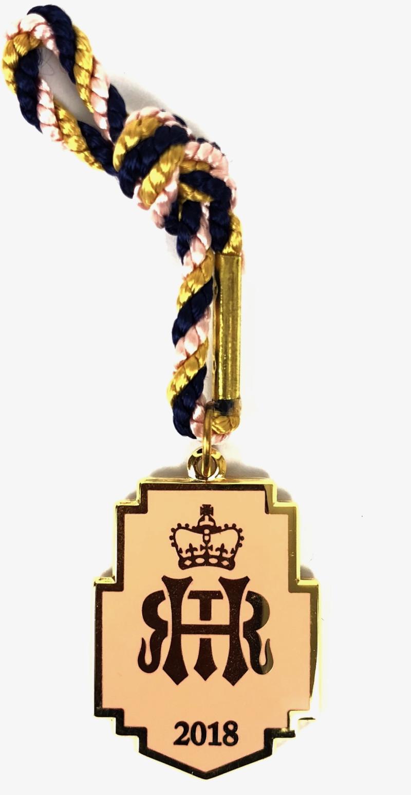 2018 Henley Royal Regatta stewards enclosure badge