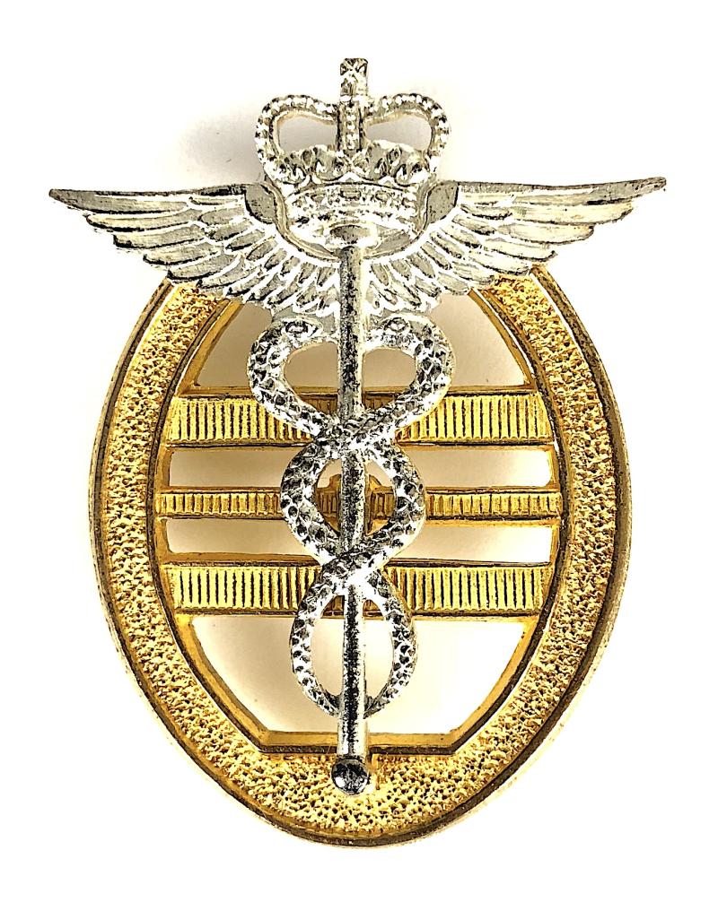 Princess Marys Royal Air Force Nursing Service PMRAFNS Wing Officer Badge