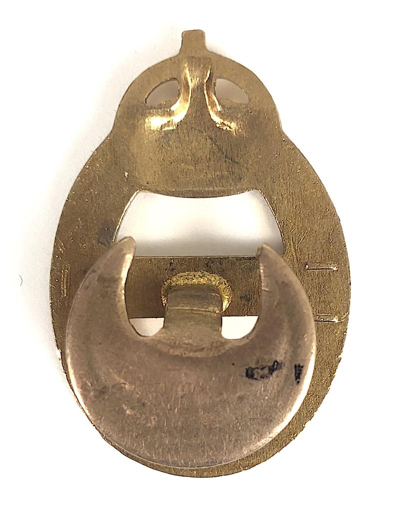 Air Raid Precaution School ARPS Civil Defence Instructor badge