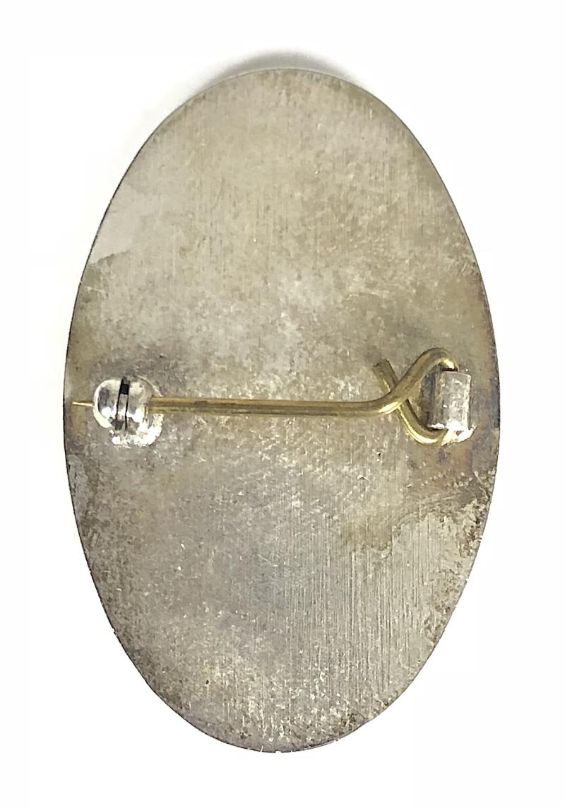 Army School of Psychiatric Nursing Netley Military Hospital Badge