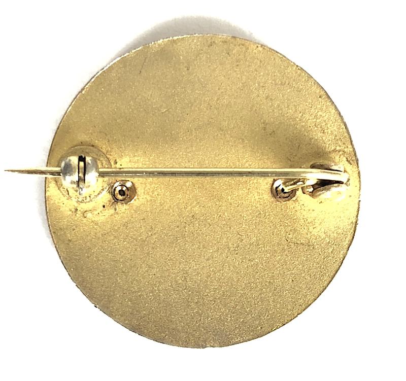 Royal Air Force Nurse Training School uniform pin badge