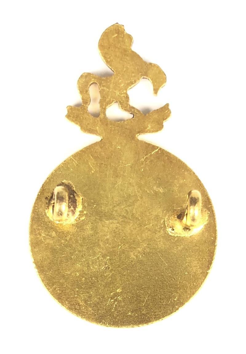 WW1 Kent Voluntary Aid Detachment VAD T.F Cap Badge