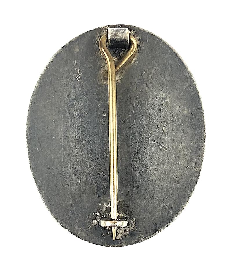 Association of Occupational Therapists Phoenix Trade Union Badge