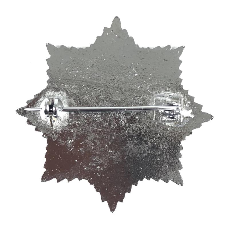 Royal Devon & Exeter Hospital School of Radiography badge