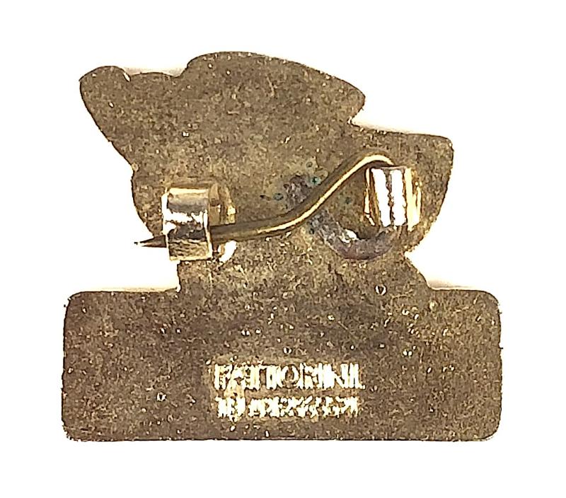 Greenpeace political activists supporters badge