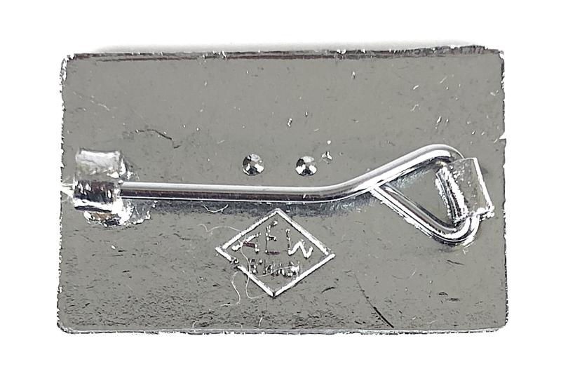 Royal College of Nursing RCN union membership badge